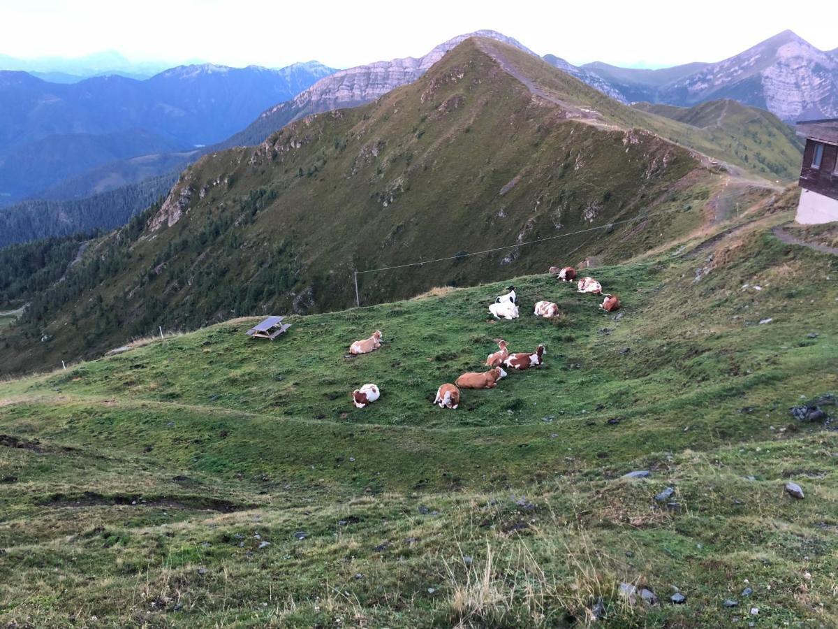 Haus Mup Apartman Spittal an der Drau-i járás Kültér fotó
